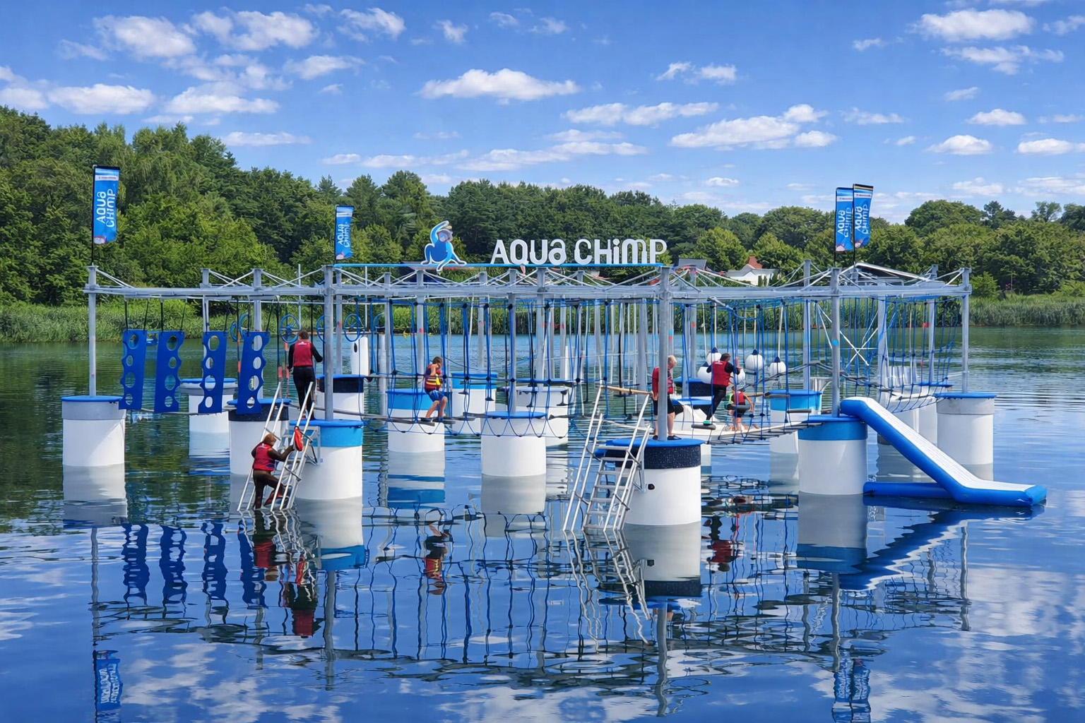 Image_Aquachimp